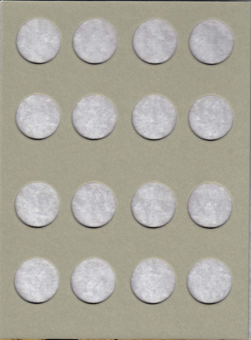 Harris Folder: Native American Dollars 2009-