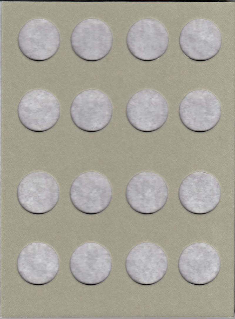 Harris Folder: Native American Dollars 2009-