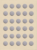 Littleton Folder: Cents Plain LCFC