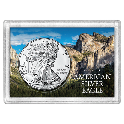 American Silver Eagle 2x3 Frosty Case, Mountain Forest - 40.6mm